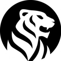 Логотип (бренд, торговая марка) компании: White Tiger Soft в вакансии на должность: Начинающий системный аналитик в IT компанию (в сфере разработки мобильных приложений) в городе (регионе): Йошкар-Ола