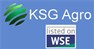 Логотип (бренд, торговая марка) компании: KSG Аgro в вакансии на должность: Главный агроном сельскохозяйственного предприятия в городе (регионе): Черкассы