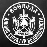 Логотип (бренд, торговая марка) компании: Альянс структур безопасности Воевода в вакансии на должность: Оперативный дежурный в городе (регионе): Санкт-Петербург
