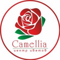 Логотип (бренд, торговая марка) компании: ИП Центр цветов Camellia в вакансии на должность: Продавец-консультант в городе (регионе): Караганда