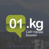Логотип (бренд, торговая марка) компании: ООО Бизнес Инфосистемс в вакансии на должность: Менеджер отдела онлайн-продаж в городе Ош в городе (населенном пункте, регионе): Бишкек