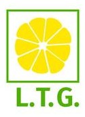  ( , , )  Lemon Technologies Group
