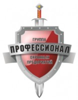 Логотип (торговая марка) ООО ЧОО Профессионал Балтия