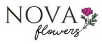  ( , , ) Nova Flowers (   )