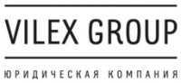   VILEX GROUP -  ( )