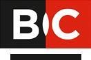 Логотип (бренд, торговая марка) компании: ООО BC-Express в вакансии на должность: Курьер-водитель в городе (регионе): Новосибирск