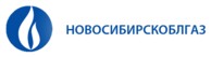 Логотип (бренд, торговая марка) компании: ООО Новосибирскоблгаз в вакансии на должность: Начальник отдела труда и заработной платы в городе (регионе): Новосибирск