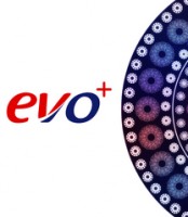Логотип (бренд, торговая марка) компании: ООО Super iMAX (торговая марка EVO) в вакансии на должность: Финансовый менеджер в городе (регионе): Ташкент