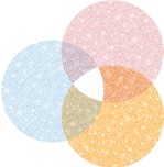 ��� �� ������������ �����������-�������������� ��������